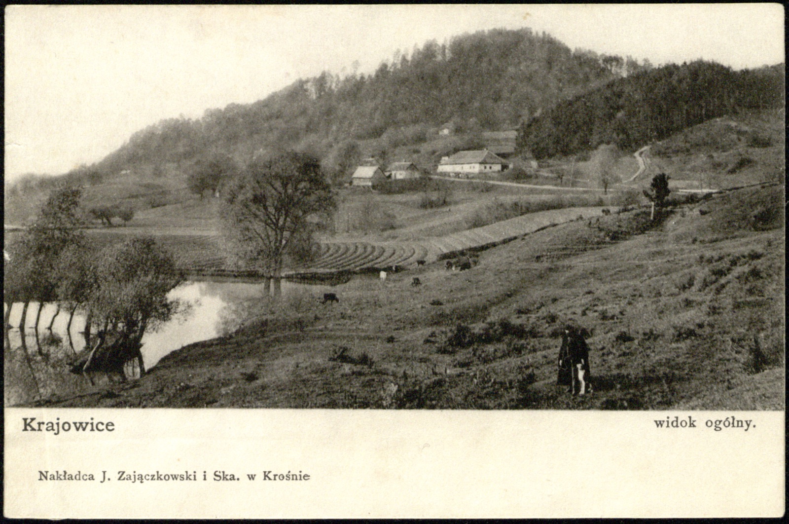 widok ogólny (wieś nad stawem, sztafaż); nakł. J. Zajączkowski i Ska, Krosno; rewers niepodzielony; nieobiegowa