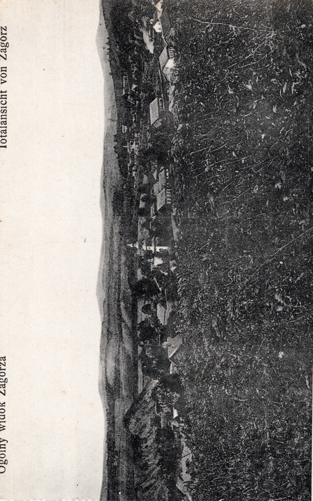 Ogólny widok (Totalansicht); nakł. S. Beer, Zagórz; rewers podzielony; nieobiegowa