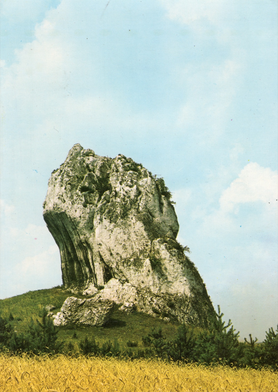 „JURA KRAKOWSKO-CZĘSTOCHOWSKA. Ostaniec”; KAW