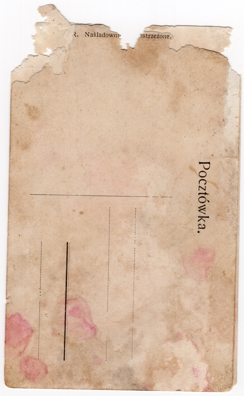 Odwrocie karty: Widok Rzeszowa (panorama, winieta); wczesna (~1905–1910)