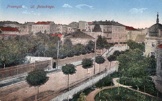Ulica Potockiego w szpalerze drzew