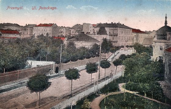 Ulica Potockiego w cieniu drzew